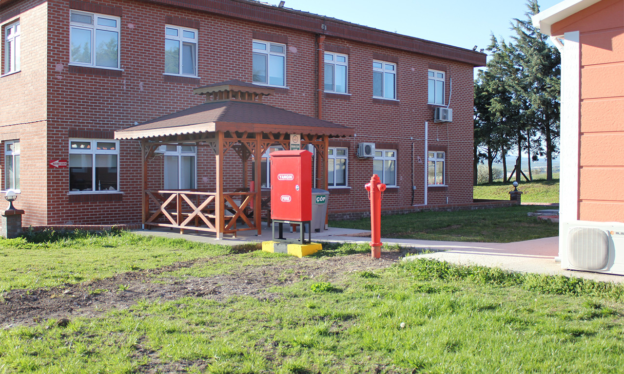 Galeri görseli